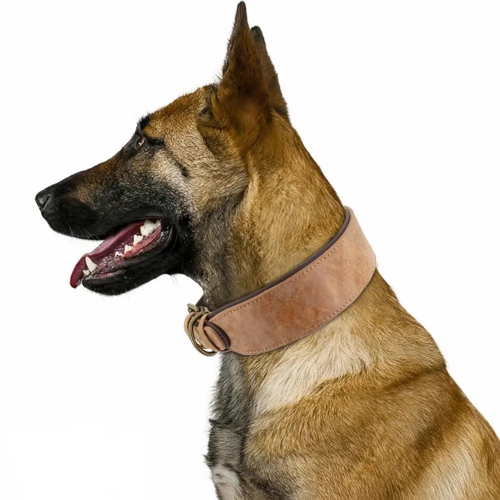 Wide Leather Dog Collar Padded Pet Collars Dog Collar for Medium Large Dogs Pitbull Bulldog German Shepherd 2XL Mio pet store