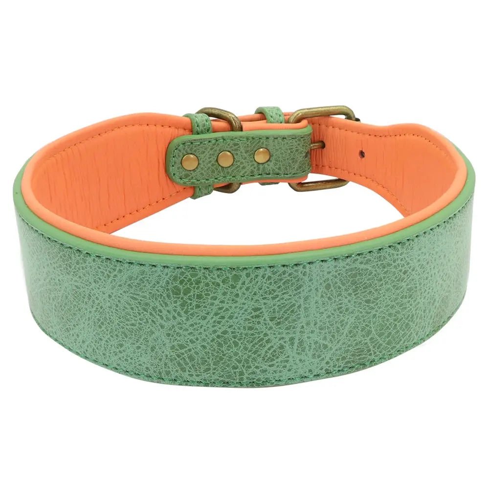 Wide Leather Dog Collar Padded Pet Collars Dog Collar for Medium Large Dogs Pitbull Bulldog German Shepherd 2XL Mio pet store