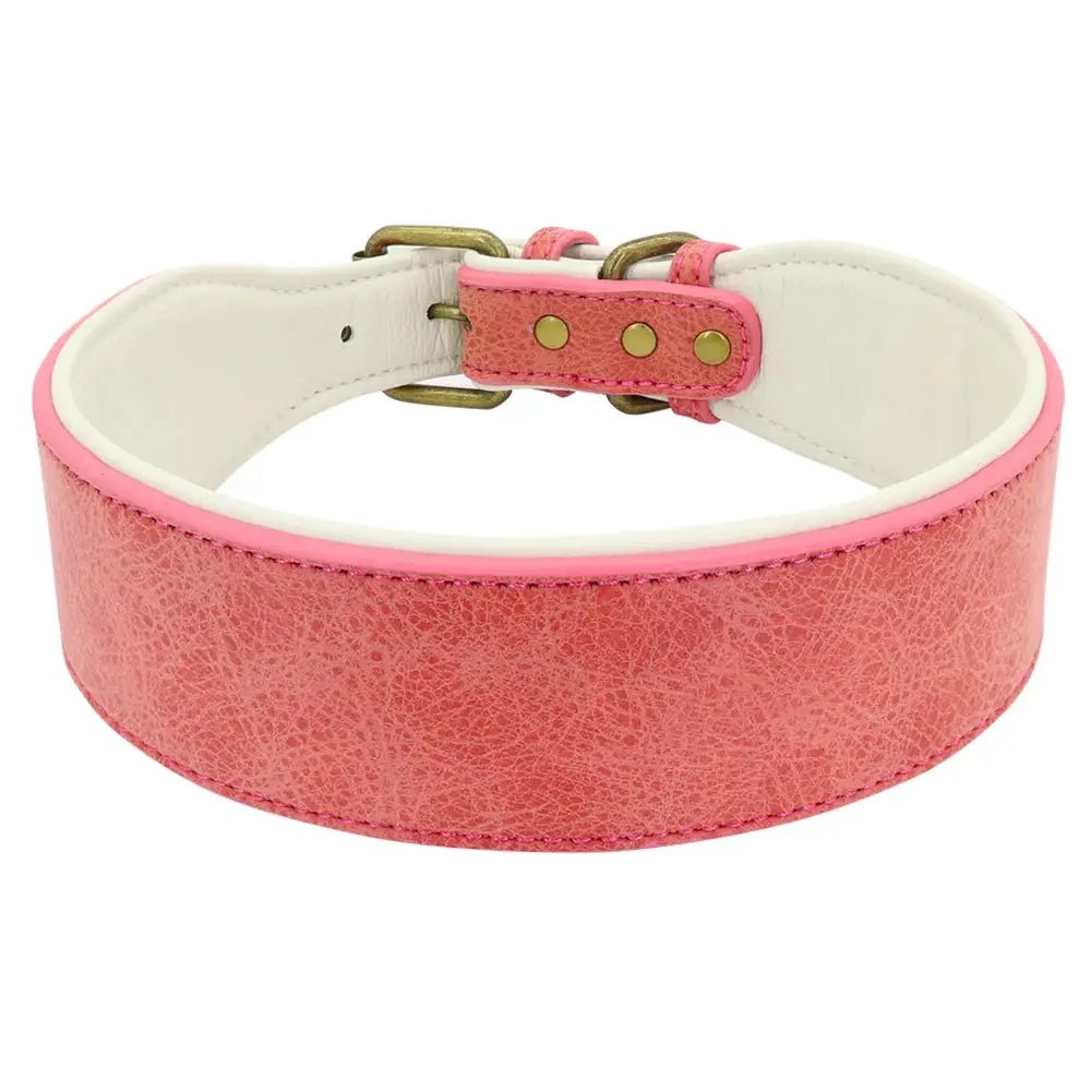 Wide Leather Dog Collar Padded Pet Collars Dog Collar for Medium Large Dogs Pitbull Bulldog German Shepherd 2XL Mio pet store